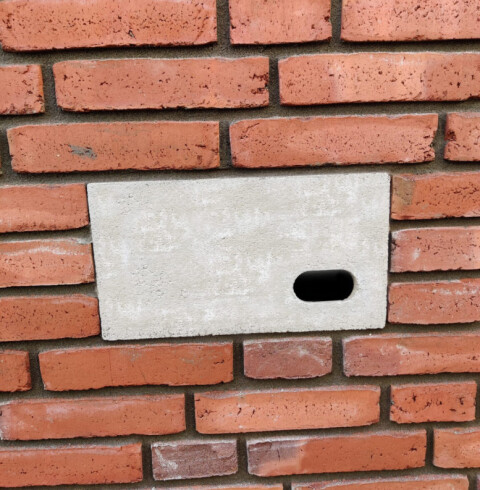 Nestmogelijkheid gierzwaluw